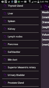 Ultrasound measurements Screenshots 1