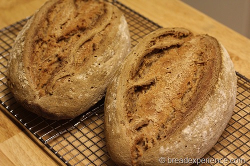 66-percent-sourdough-rye_1942