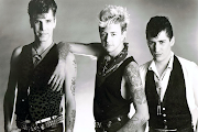 Stray Cats