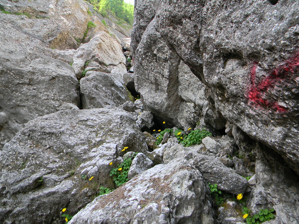 [DSCN32033.jpg]