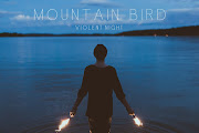 Mountain Bird