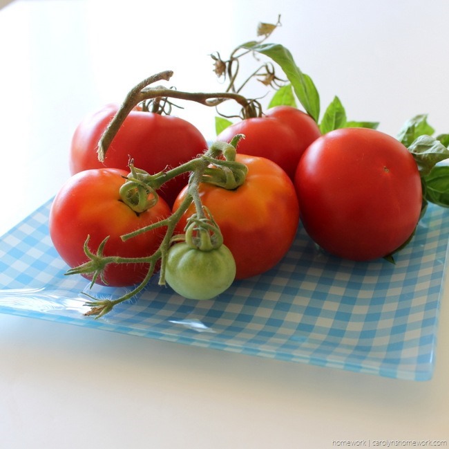 Tomato with Mozzarella and Basil Salt via homework (4)
