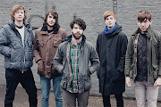 Foals