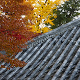 東大寺・紅葉(PK3_0293,60mm,F9,K3)2014yaotomi_.jpg