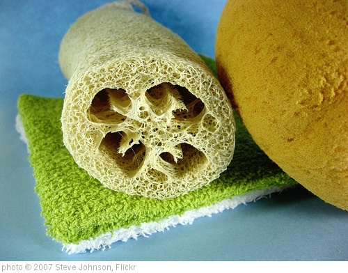 'washcloth bathsponge and loofah' photo (c) 2007, Steve Johnson - license: http://creativecommons.org/licenses/by/2.0/