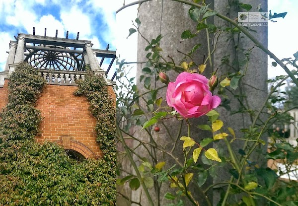 IMAG2438.jpg