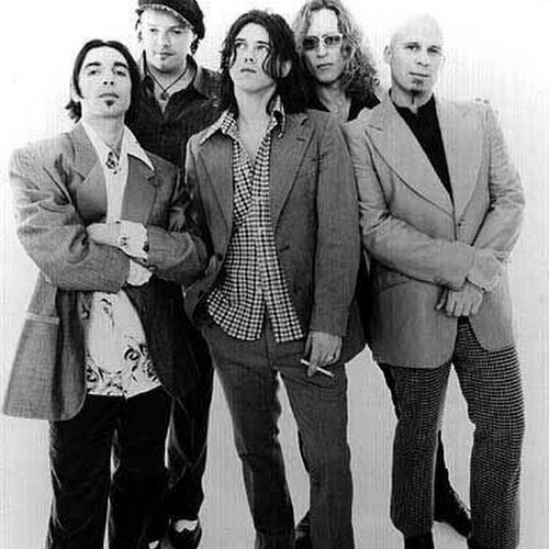 The Screamin' Cheetah Wheelies