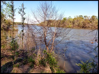 Hiking - The Apalachicola River