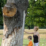 Noi suntem David si Mike. Tu cine esti?