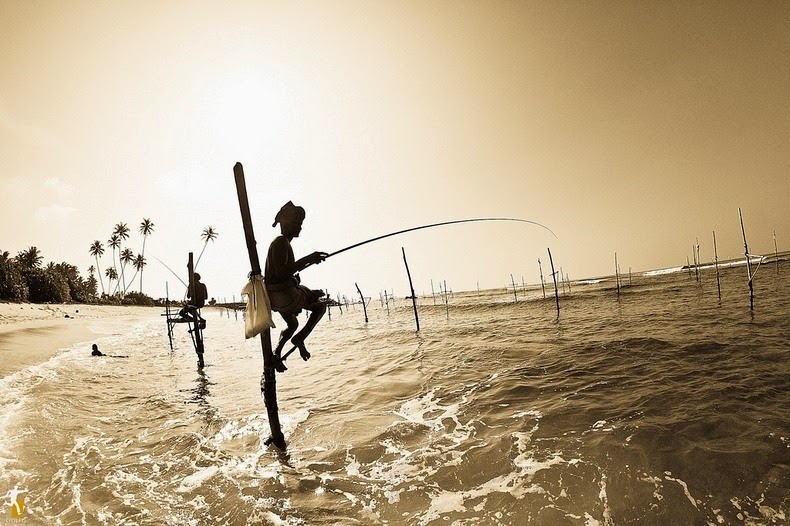 stilt-fishermen-sri-lanka-2