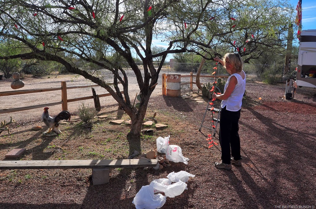 [DSC_0001%255B4%255D.jpg]