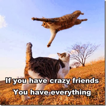 crazy friends2
