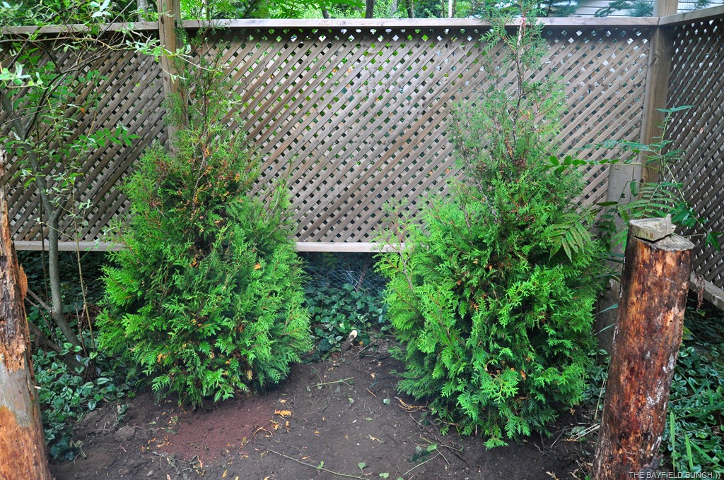 [DSC_0002%255B6%255D.jpg]