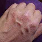 jun 2009  P6160038.JPG