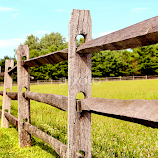 The Pasture by Sue Delia -  