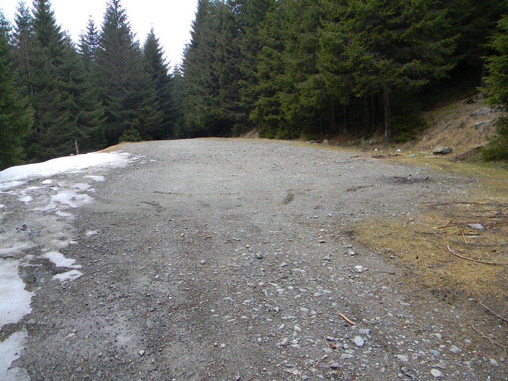 [DSCN40353.jpg]