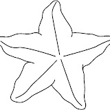 STARFISH4_BW_thumb.jpg