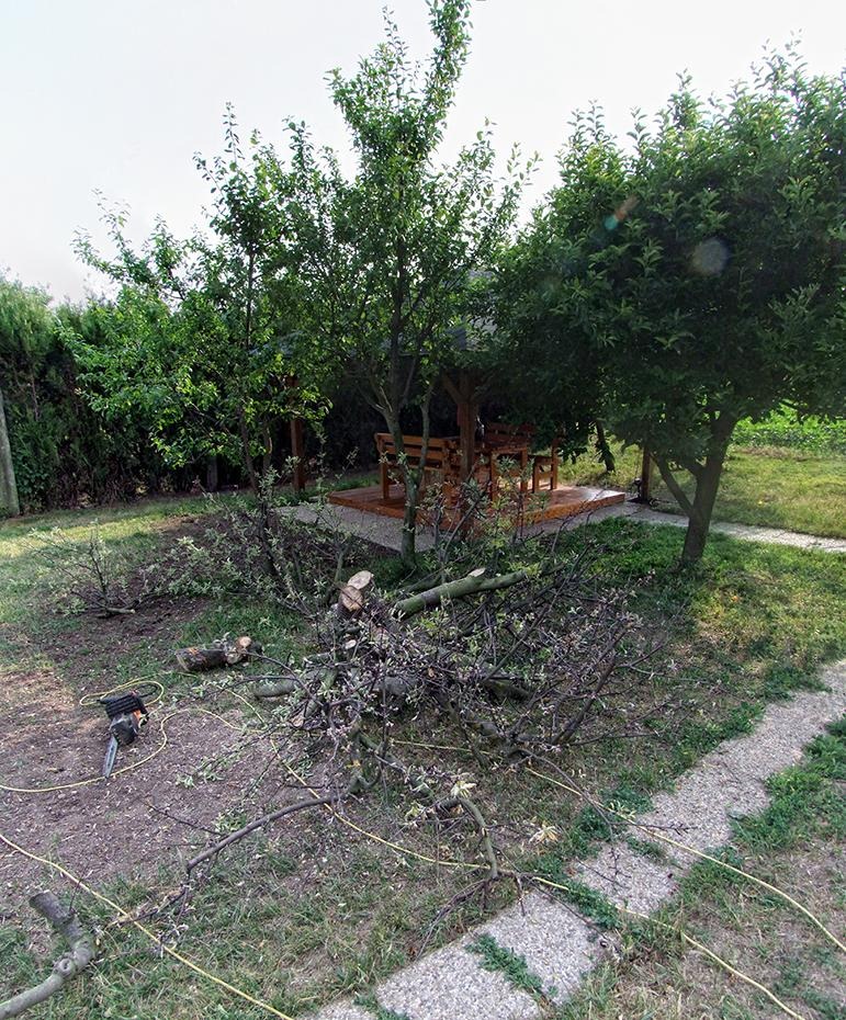 [DSCF3203_3206_re%255B5%255D.jpg]