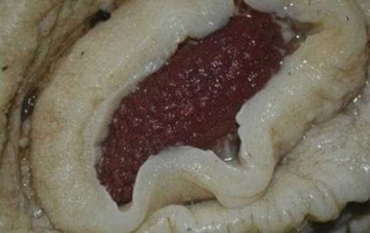 [clip_image003%255B4%255D.jpg]