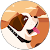 astuceroblox astuceroblox