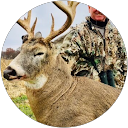 Ken Doellman profile picture