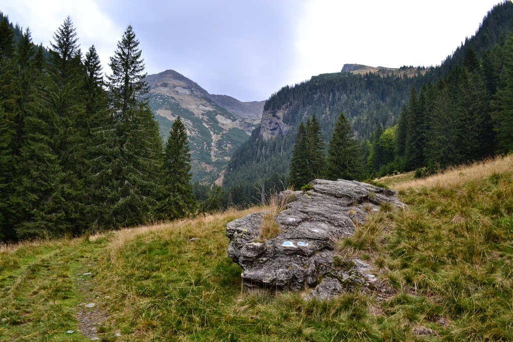 [DSC_99993.jpg]