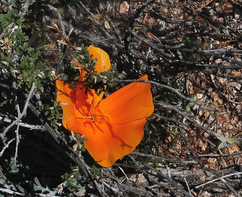 [DSC_0067%255B3%255D.jpg]