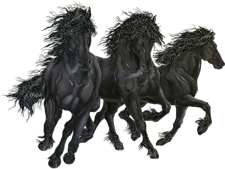 caballos%252520%25252817%252529_thumb