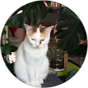 Image Google de Evelyne Lamy