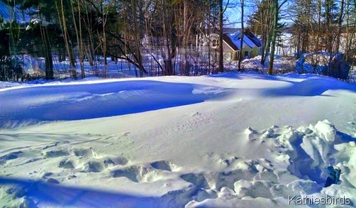 snow drifts 2-16-15