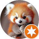 Image Google de muriel meichelbeck