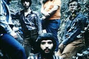 Canned Heat