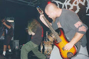 Disgorge