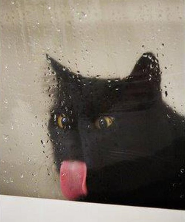 [Window%2520licker%255B4%255D.jpg]