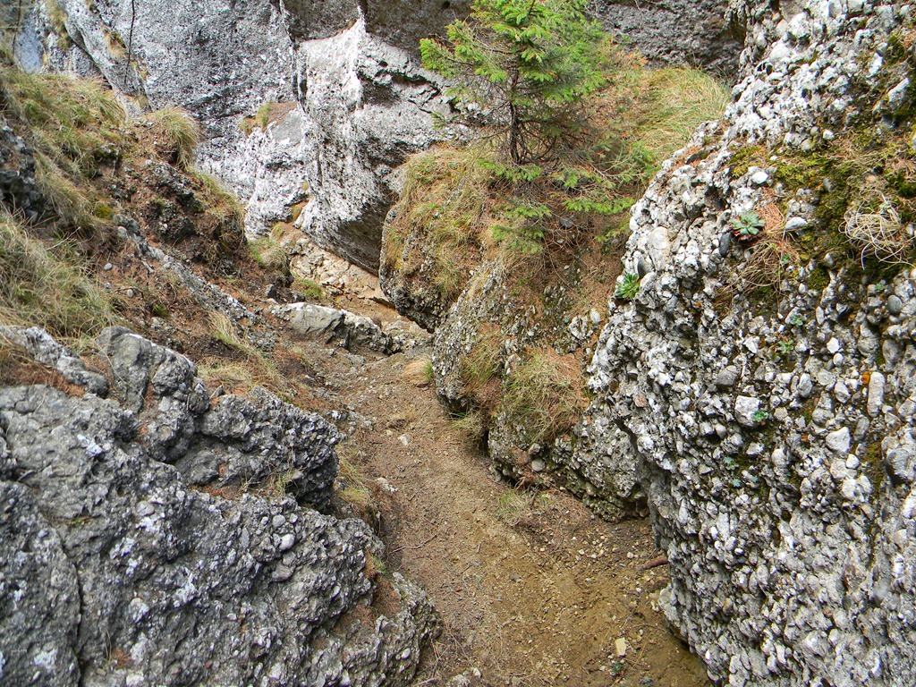 [DSCN00623.jpg]