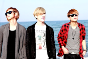 Lunafly