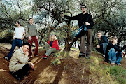 Belle And Sebastian