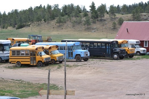 Tour Busses