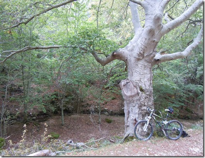 Huidobro, barranco de Molinillos