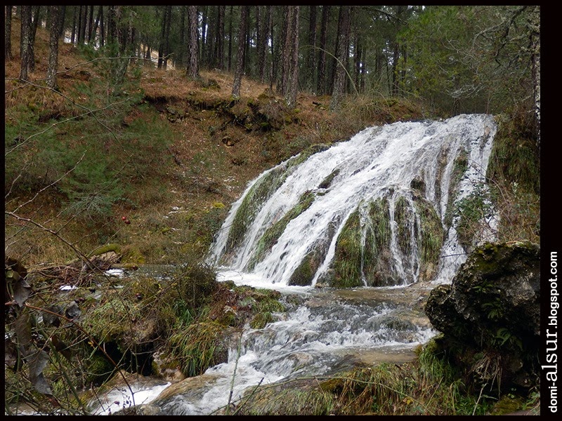 [PC27006410.jpg]