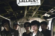 Callalily