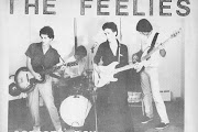 The Feelies