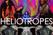 Heliotropes