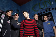 Zebrahead