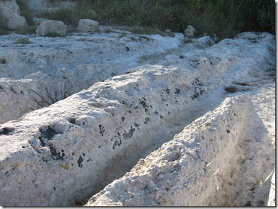 IMG_1026 IMG_1026