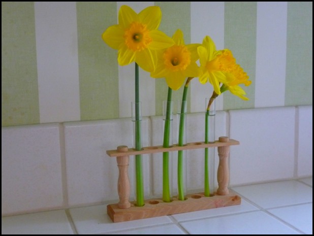 Daffodils 008 (800x600)