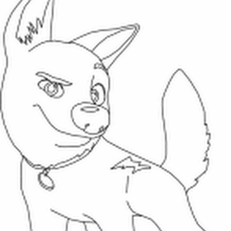Bolt, colorear dibujos del perro  Bolt