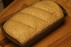 honey-graham-oatmeal-bread019