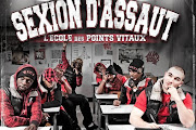 Sexion DAssaut