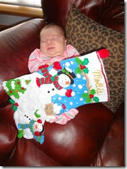 Mollie's Newborn Pics 072
